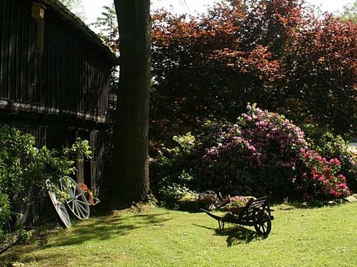 Ferienhof Wroge Wietzendorf Exteriör bild