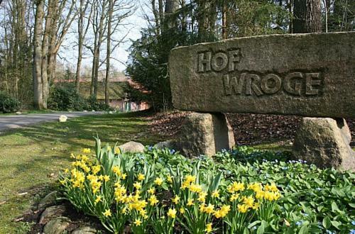 Ferienhof Wroge Wietzendorf Exteriör bild